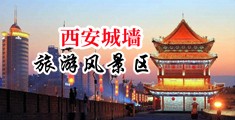 美女下面出白浆的黄色网站中国陕西-西安城墙旅游风景区
